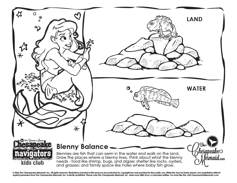 Blenny Balance