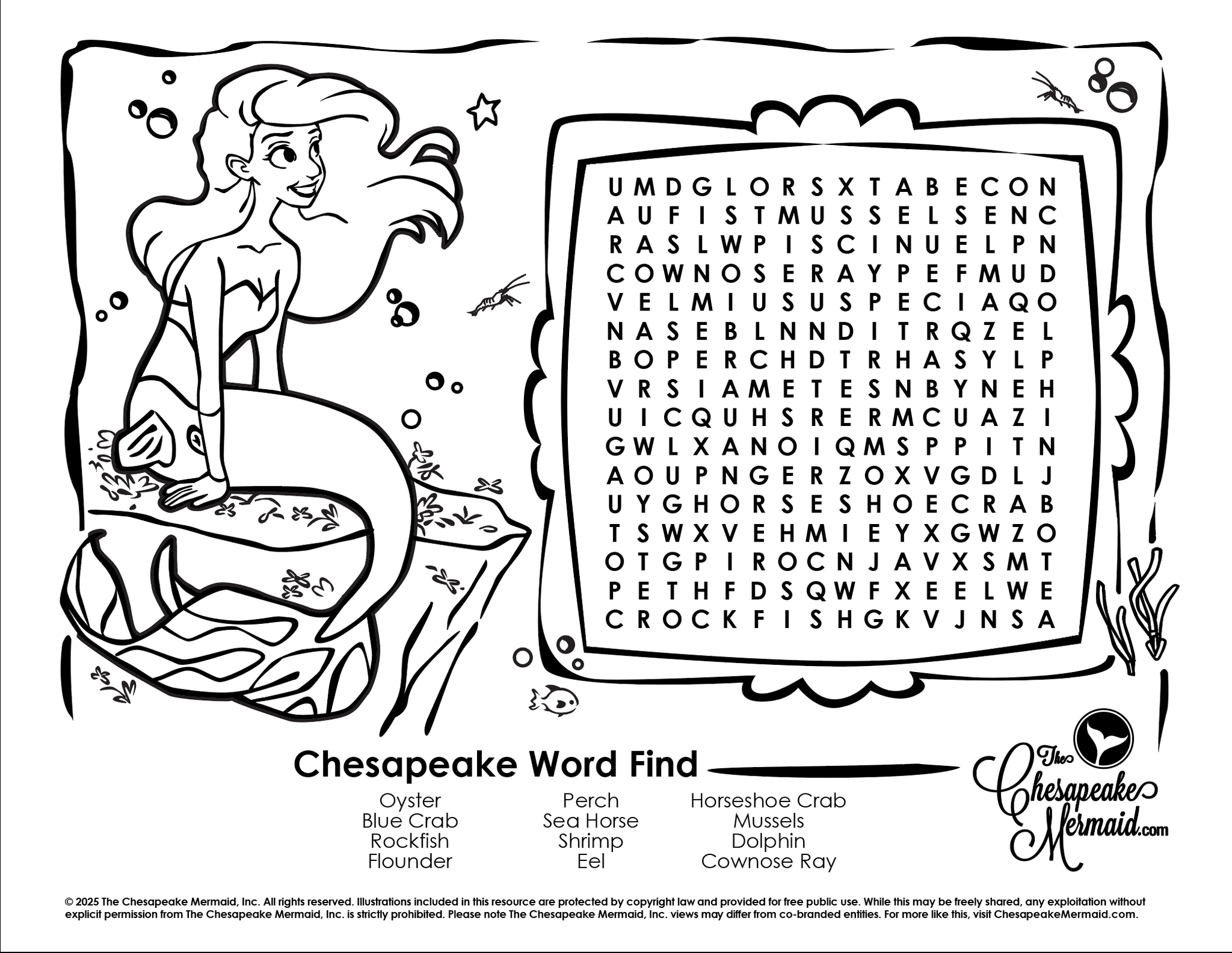 Chesapeake Word Find