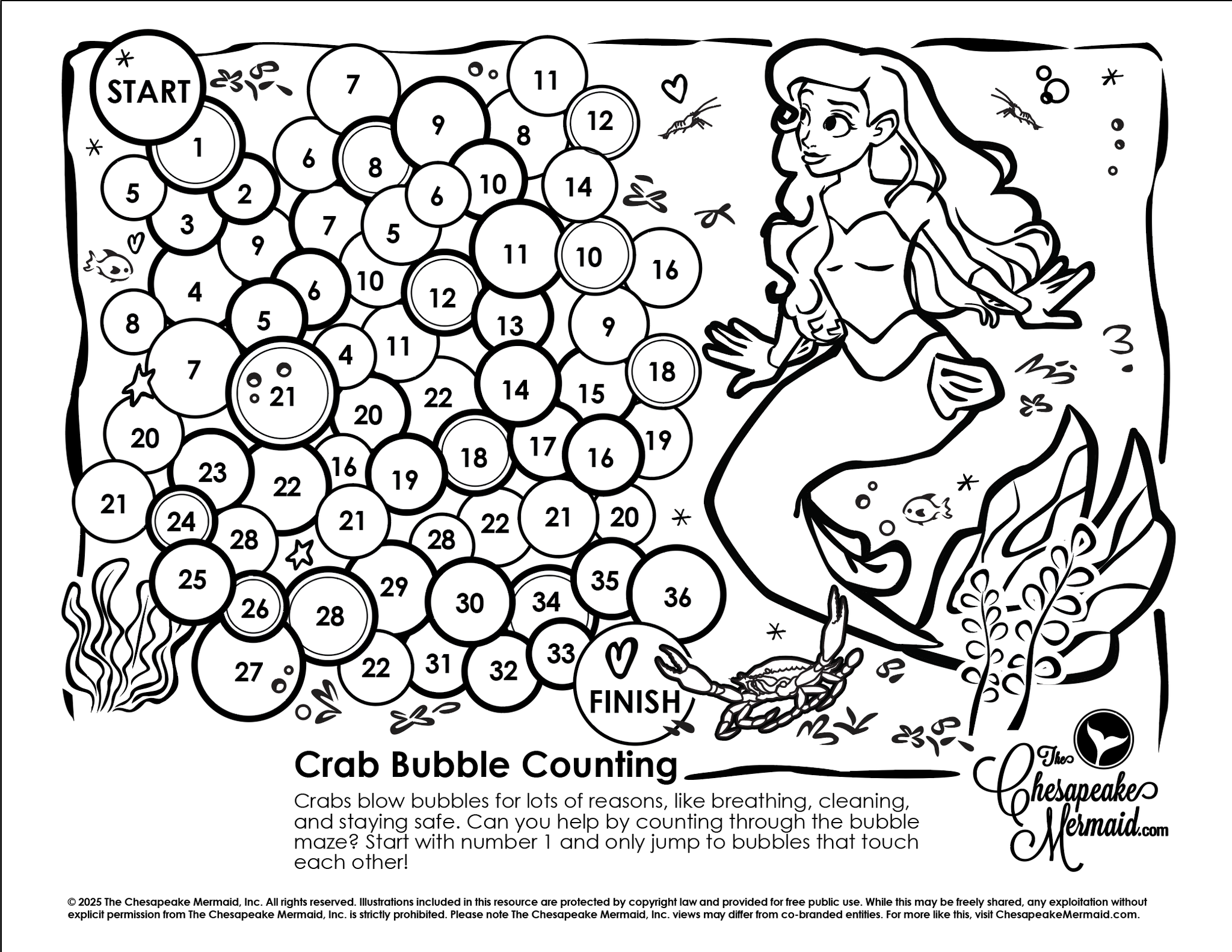 Crab Bubble Counting