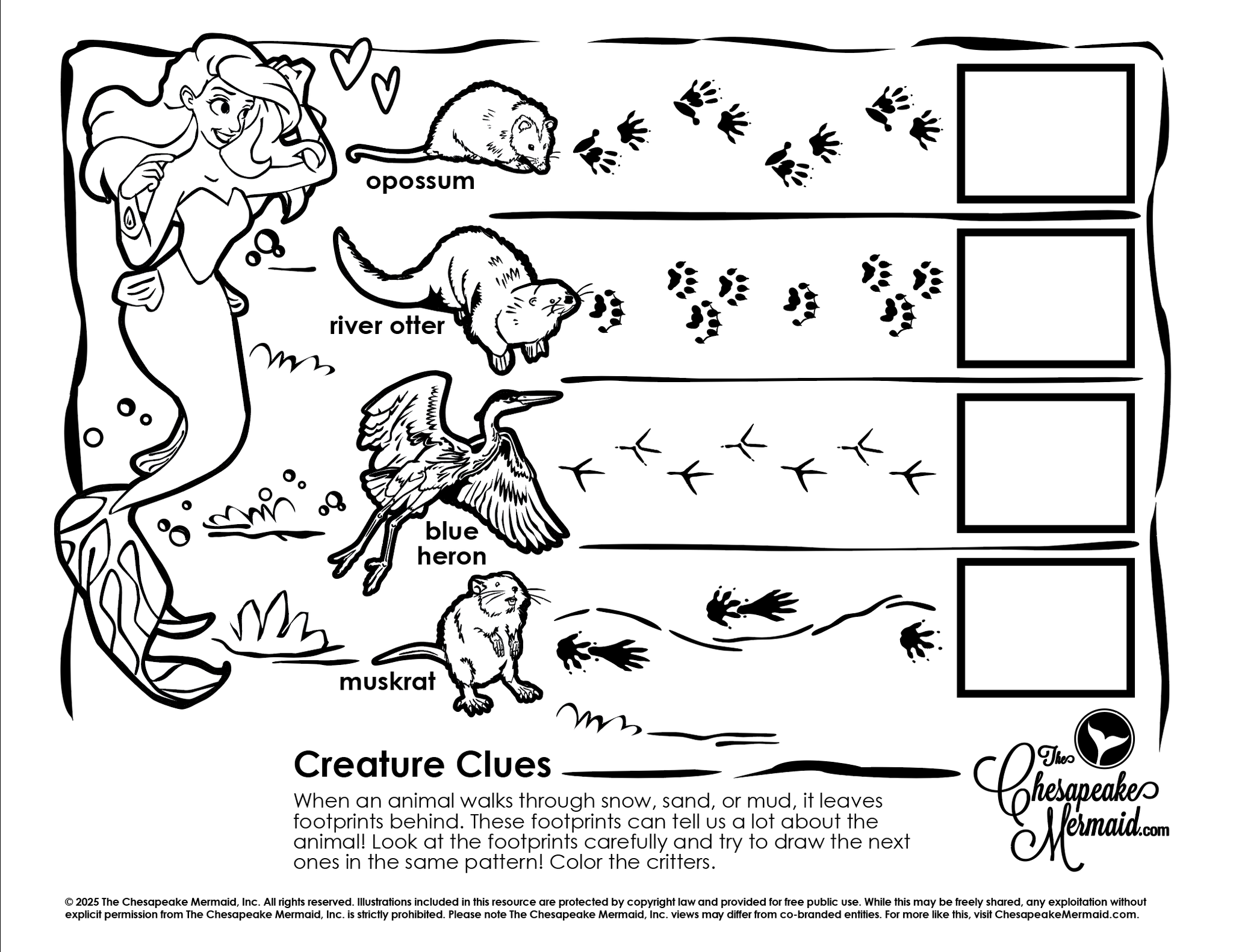 Creature Clues