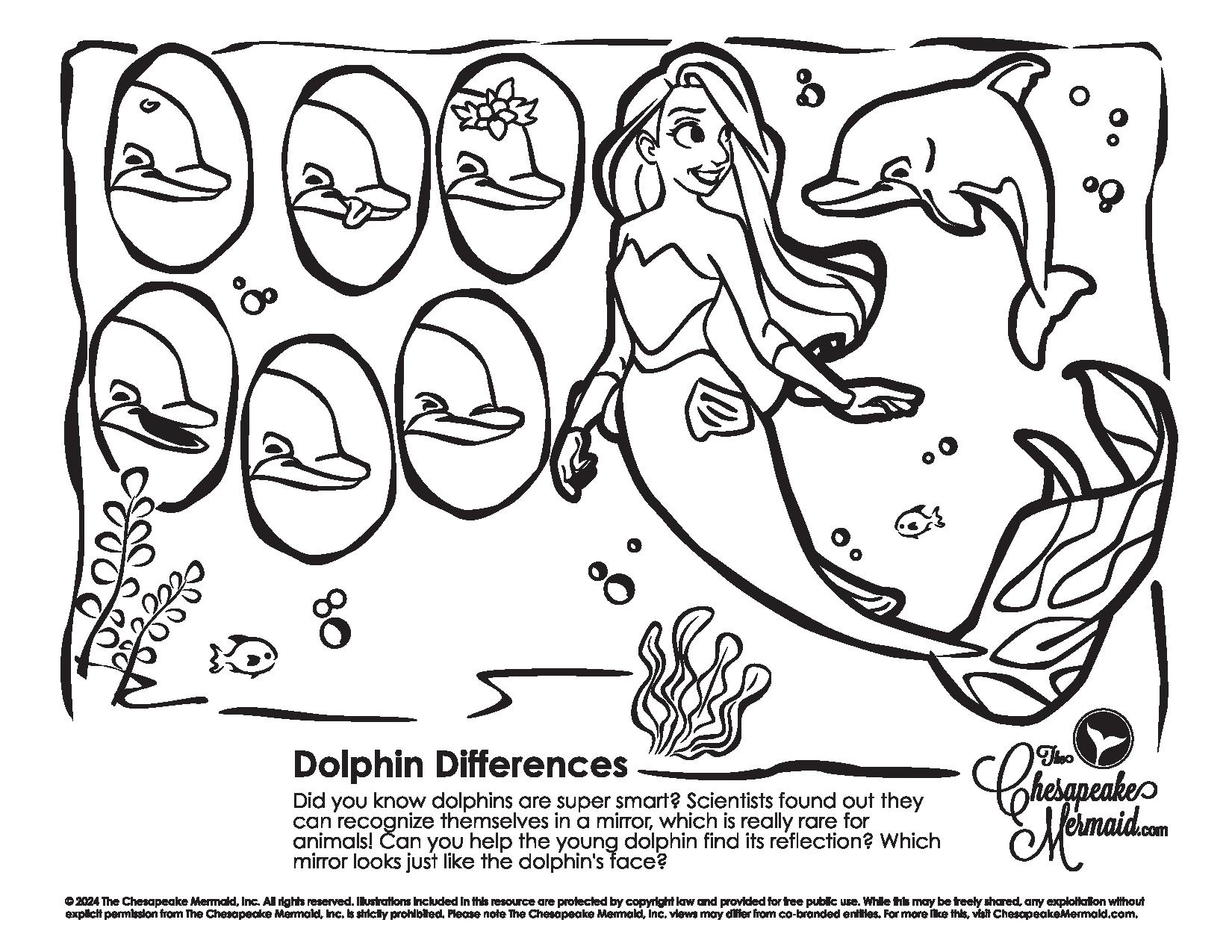 Dolphin Differences!