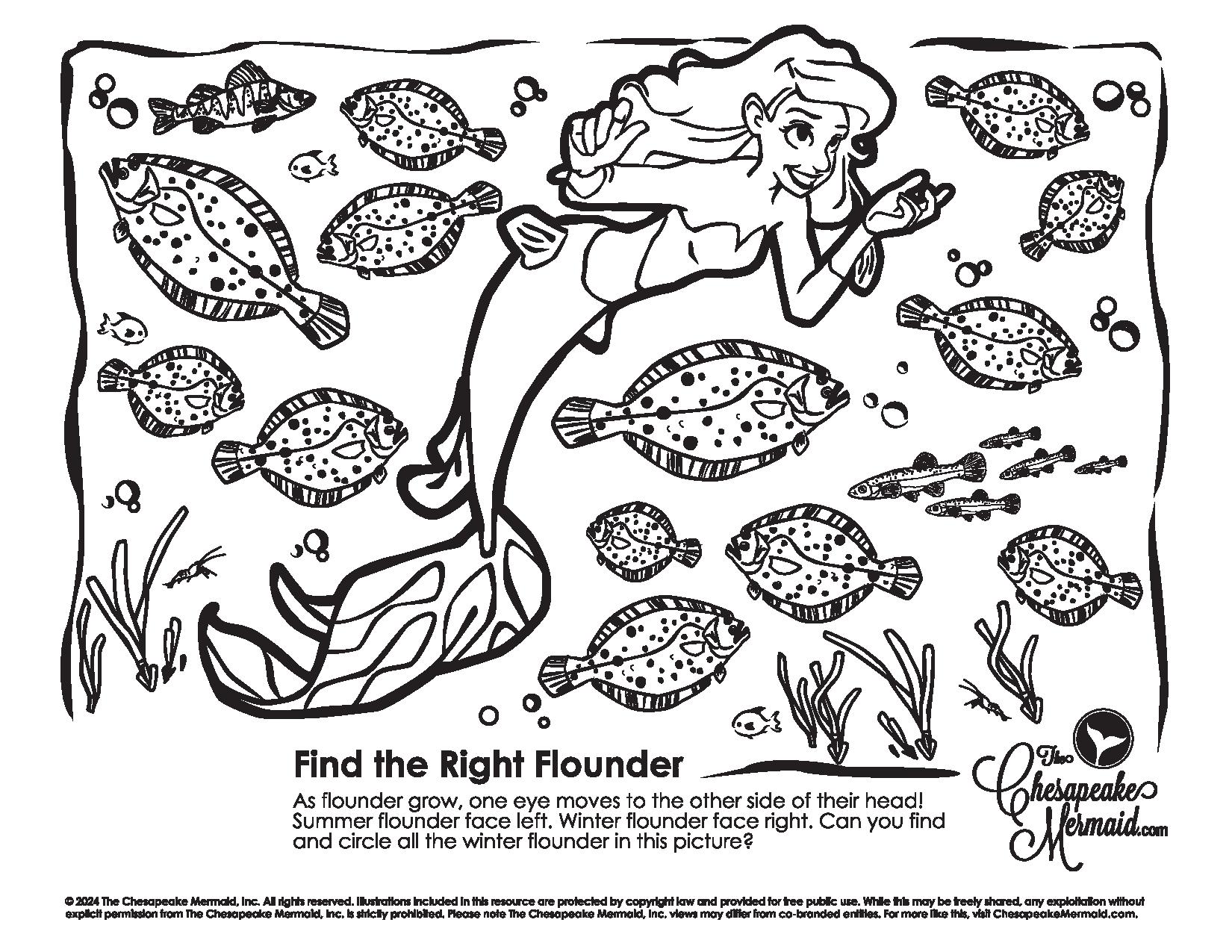 Find the Flounder!