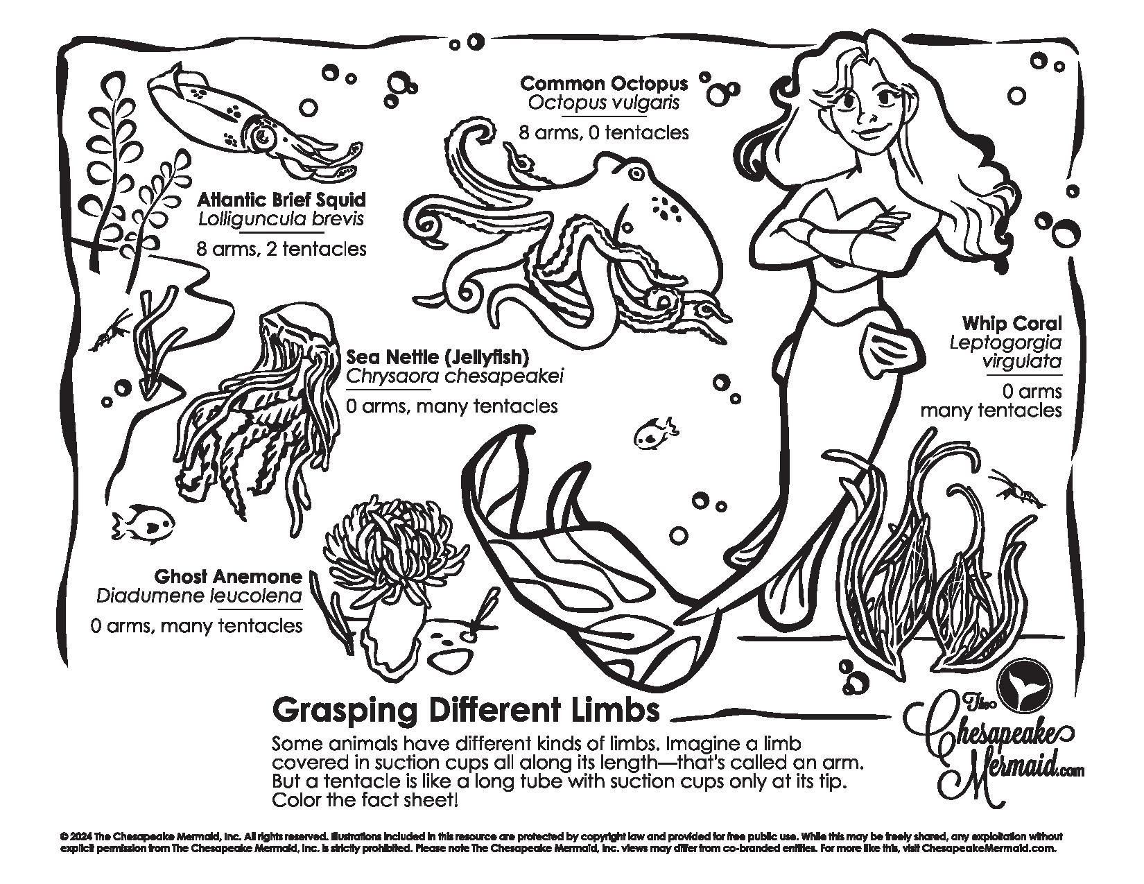 Grasping Different Limbs!