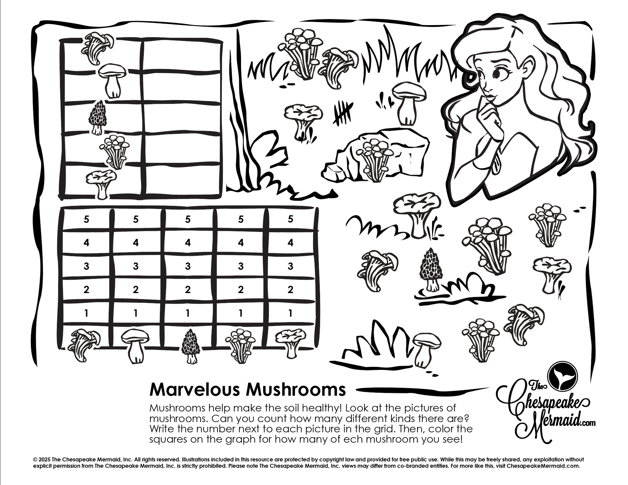 Marvelous Mushrooms