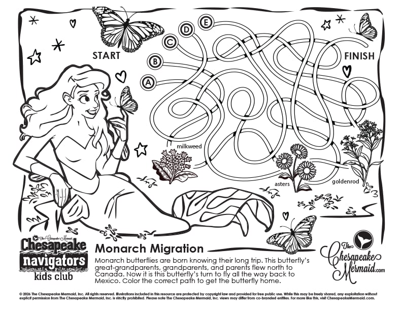 Monarch Migration