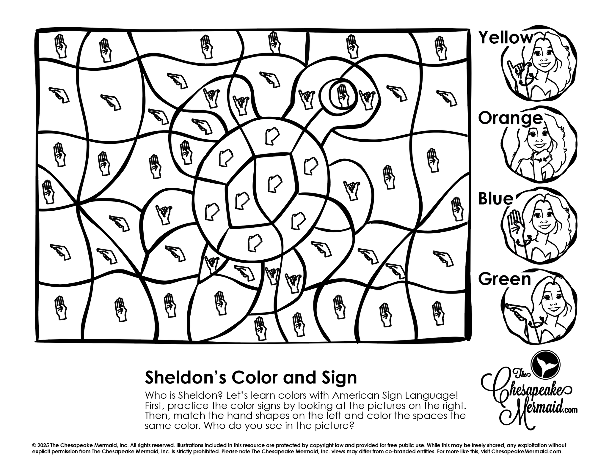 Sheldon's Color and Sign!