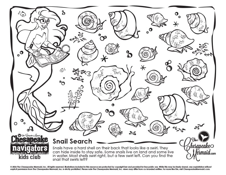 Snail Search