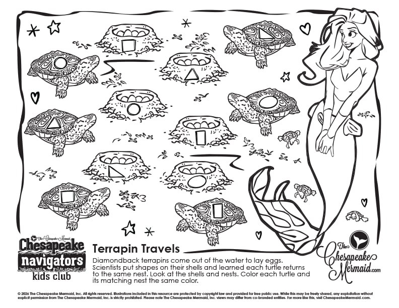 Terrapin Travels