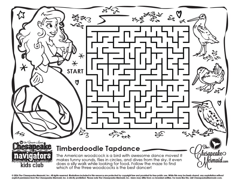 Timberdoodle Tapdance